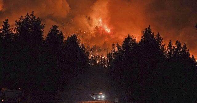 Firefighter dies battling California wildfire